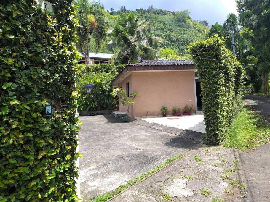 Vacation House In Tahiti Punaauia  Exterior foto